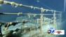 An expedition in the Atlantic Ocean produced new images of artifacts in wreckage of the Titanic.