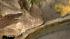 Nine giant horned lizards hatched at the Los...