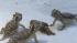 Nine giant horned lizards hatched at the Los...