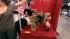 Josh the all-American poodle won first place in...
