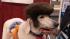 A dog appears at Intergrooms Creative Challenge,...