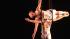 The new Cirque du Soleil show Iris is taking up...