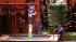 The new Cirque du Soleil show Iris is taking up...