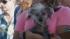 A dog is held by its owner at the 2011 Worlds...