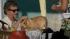 A dog visits the judging table at the 2011...
