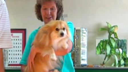 A dog named Honey Bun ate $10,000 worth of diamonds at his owners jewelry store in Albany, Georgia.