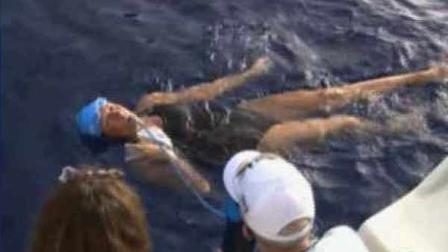 Diana Nyad has given up her attempt to swim from Cuba to Florida due to painful Portuguese Man O War stings.