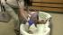 A baby aardvark recently was born at the...