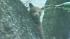 A mama bear and her two cubs perched themselves in an Altadena tree Thursday, and a crowd of people came out to watch.
