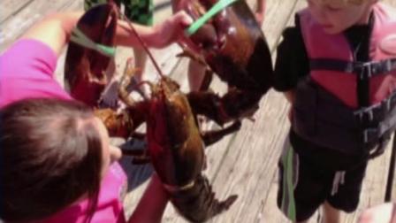 Larry, a 17.5-pound lobster, is seen in this undated photo.