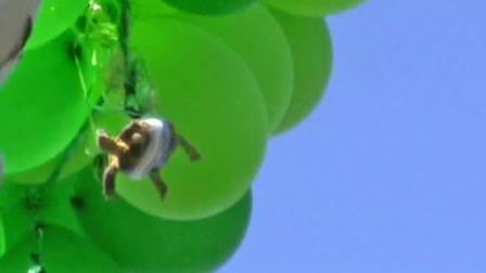 A turtle was duct-taped to a bunch of balloons and sent soaring into the sky in Oceanside, Calif.