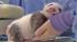 Veterinarians at the San Diego Zoo say the panda...