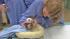 Veterinarians at the San Diego Zoo say the panda...