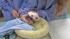 Veterinarians at the San Diego Zoo say the panda...