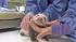 Veterinarians at the San Diego Zoo say the panda...