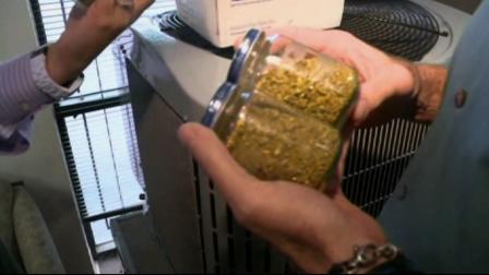 Twelve baby food jars filled to the brim with gold dust were found underneath the floors of a Sacramento home.