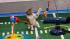 The kitty half time show during Animal Planets...
