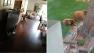 A Monrovia man is doing some major cleaning after two black bears broke into his home and ransacked his kitchen table Wednesday, March 27, 2013.