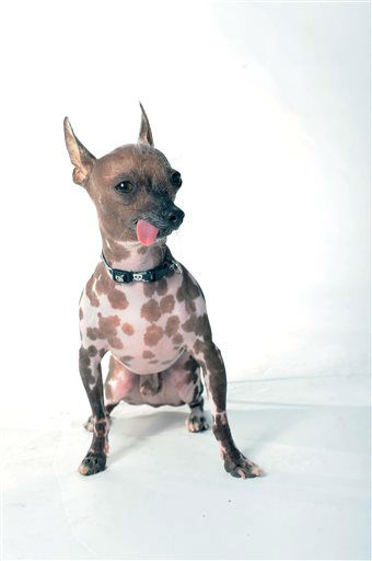 Roman poses for a portrait while competing in...