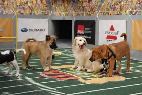 Animal Planet provided KABC-TV this image of...