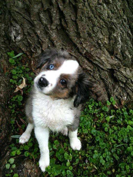 Sharon Thorpe Radford  posted this photo of her...