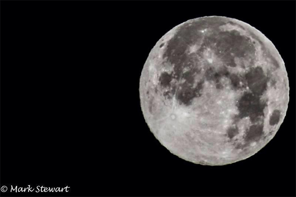 ABC7 viewer Mark Stewart sent in this photo of...