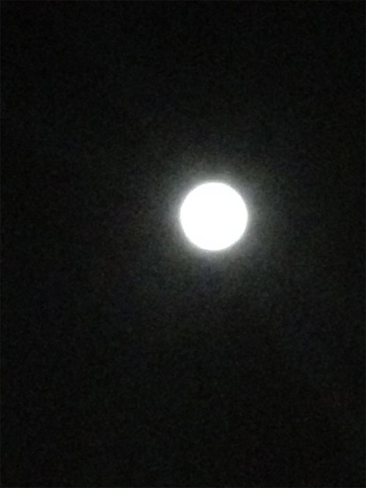 ABC7 viewer Norma Angelica Valdivia sent us this...