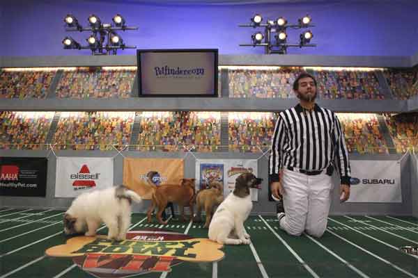 Animal Planet provided KABC-TV this image of a...