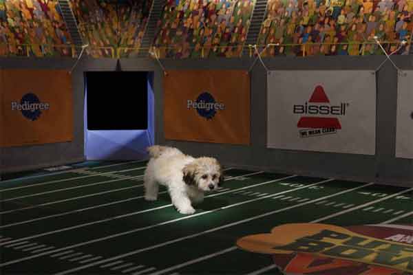 Animal Planet provided KABC-TV this image of...