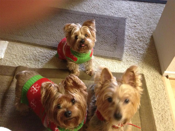 Melanie Hoffman posted this photo of her...