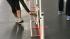 Dogs weave through tall, slim poles, which...