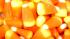 Hersheys Mounds bar ranked No. 5 in Msn.coms list of worst Halloween candies for your health, based on fat and sugar content. A 49-gram Mounds bar has 230 calories, 13 grams of fat and 21 grams of sugar. It also has 10 grams of saturated fat.