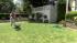 In the summertime, when you mow your lawn, you...