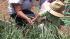 Start an organic garden. Youll end up with great...