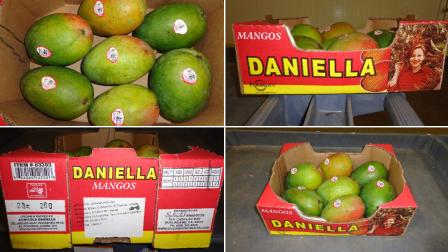 Images of Daniella-brand mangos involved in a recall are shown in these photos provided by the company, Splendid Products.