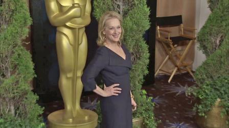Actress Meryl Streep is seen at a pre-Oscar event in this file photo.
