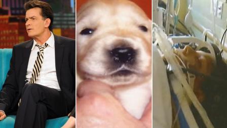 Actor Charlie Sheen, seen on the right in an appearance on The View, donated $10,000 to Teagan Marti, seen on the left, so the teen could get a therapy dog to help her rehabilitation process after falling from an amusement park ride in 2010.