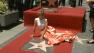 Jennifer Lopez poses by her Hollywood Walk of Fame star on Thursday, June 20, 2013.