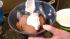 When making a bean dip, puree beans and add nonfat sour cream. It has so much less salt and oil than store-bought dip.
