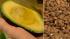 Recommended are lean proteins, whole grains,...