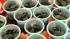 Chocolate makers are eager to show their product is a health food, after a study that found cocoa offers health benefits.