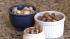 Almonds, walnuts and pistachios appear to...