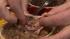 Dan Calkins taste test reveals that Merrick Pet...