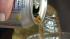 Research scientists found diet soda drinkers had...