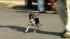 Fitness expert Christine Lusita said she can...