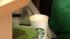Down a Venti Cinnamon Dolce Latte with whip, and...