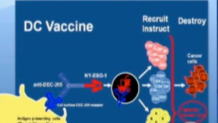 Researchers working to find a cure for cancer have discovered a possible vaccine, and they say it was found by accident.