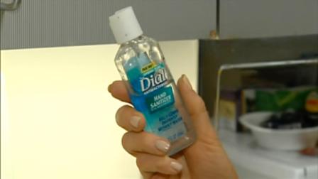 A Dial hand sanitizer is seen in this undated file photo.