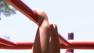 Kids are seen playing on monkey bars at a Los Angeles-area playground.
