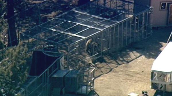 Facility where a grizzly bear killed a trainer.
